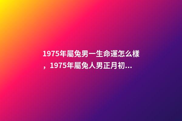 1975年屬兔男一生命運怎么樣，1975年屬兔人男正月初九生一生命運. 75年屬兔是什么命男，1975年屬兔人的命運-第1張-觀點-玄機派